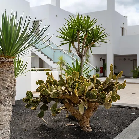 Hotel Lanzarote Village