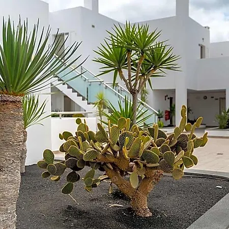 Lanzarote Village Otel